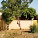 02 mini villas en location à Tengandogo