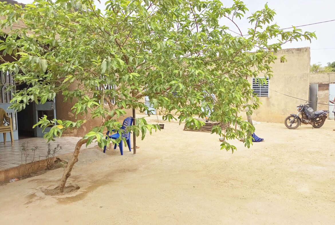 Une parcelle de 625 M² abritant 2 mini villa en vente à Dapoya