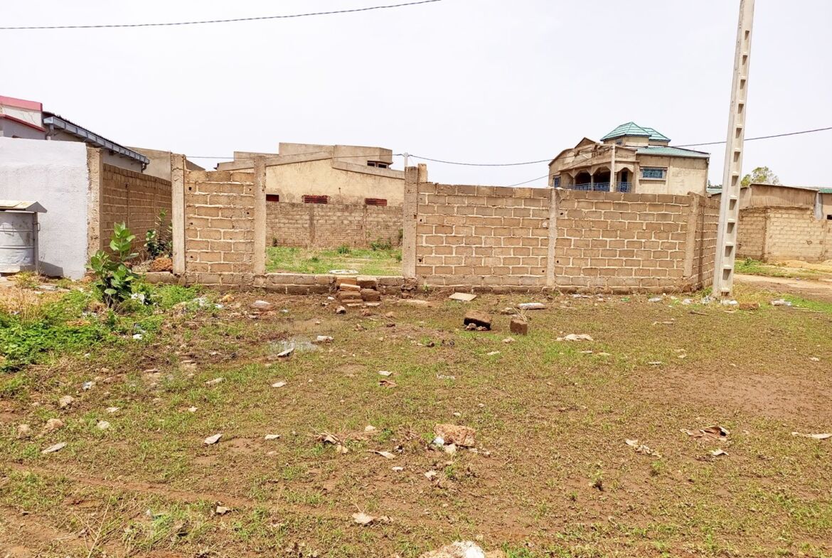 Une parcelle de 336 M² pan coupé située à Tengandogo