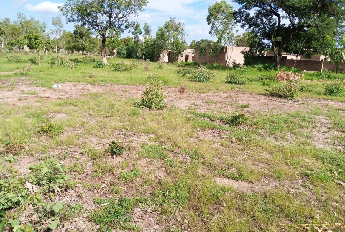 Un terrain d'1 ha en vente à Komsilga sur perfector Immobilier