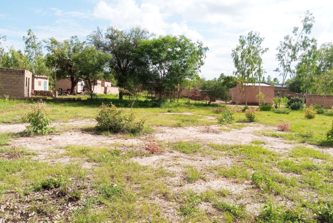 Un terrain d'1 ha en vente à Komsilga sur perfector Immobilier