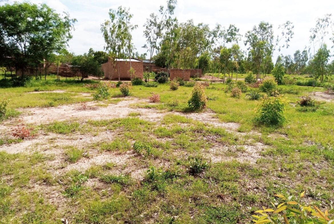 Un terrain d'1 ha en vente à Komsilga sur perfector Immobilier