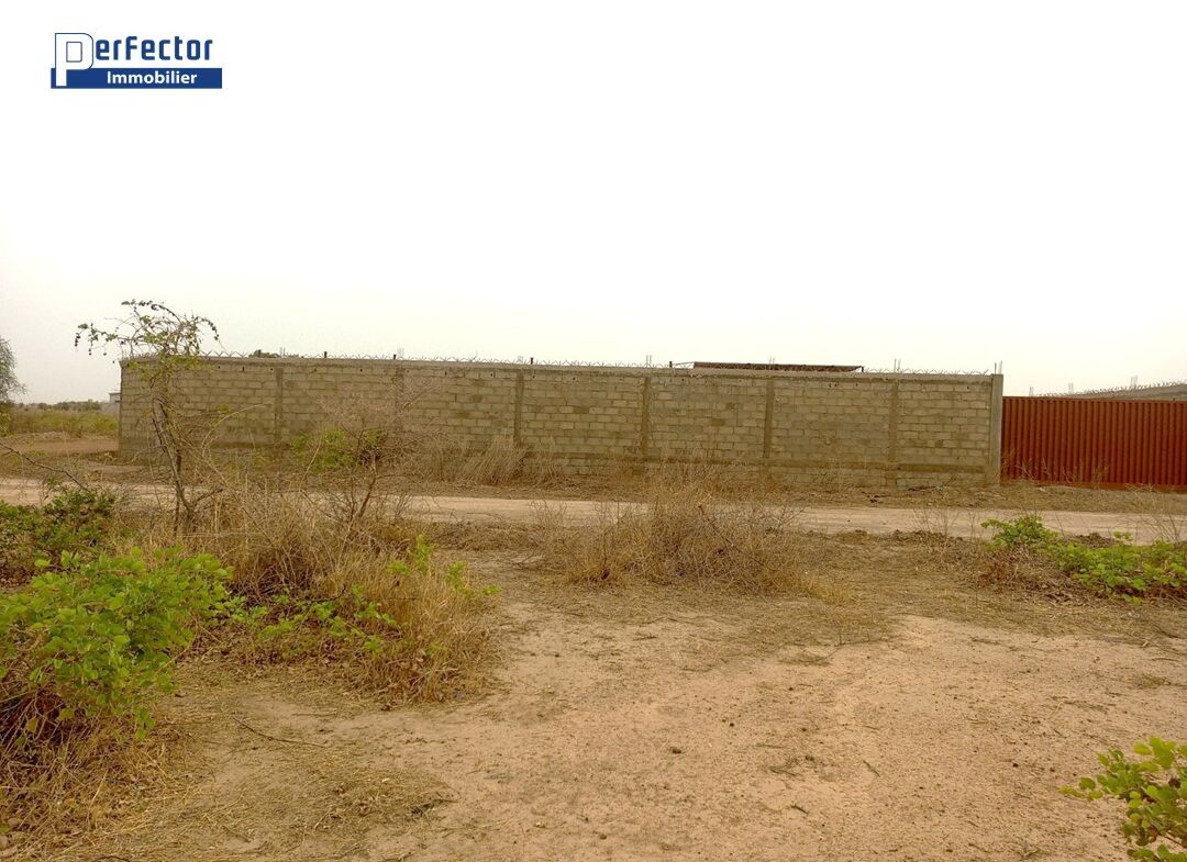 UNE PARCELLE DE 600 M² EN VENTE A L'EXTENSION SUD DE OUAGA2000