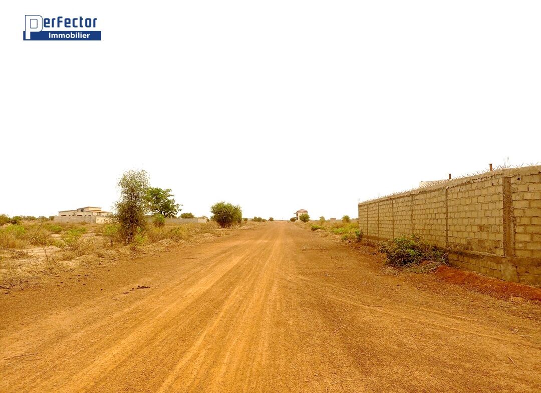 UNE PARCELLE DE 600 M² EN VENTE A L'EXTENSION SUD DE OUAGA2000