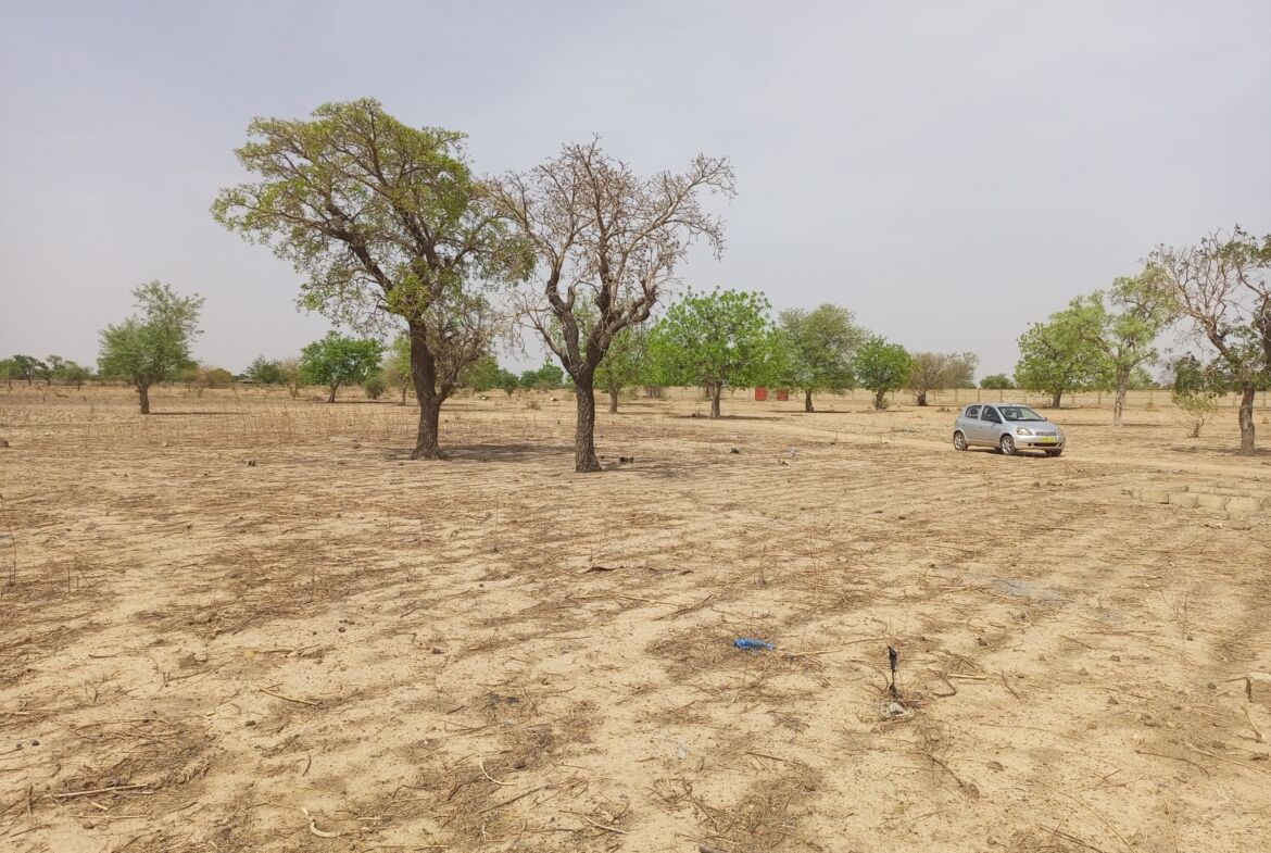 Un terrain de 11 768 M² en vente à Loumbila