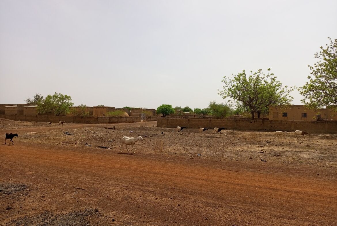 Un terrain de 11 768 M² en vente à Loumbila