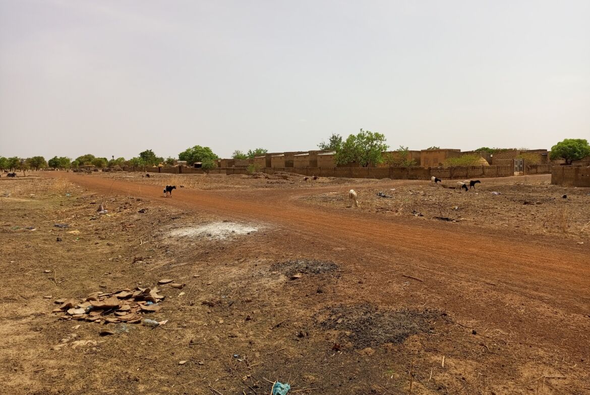 Un terrain de 11 768 M² en vente à Loumbila