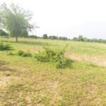 Un terrain de 13 212 M² en vente à Pabré sur Perfector Immobilier