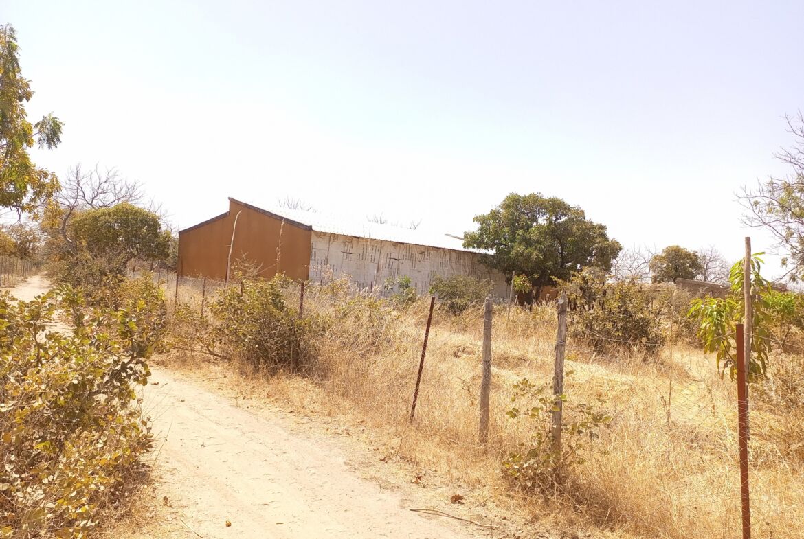 Un terrain de 19 546 M² en vente à Pabré