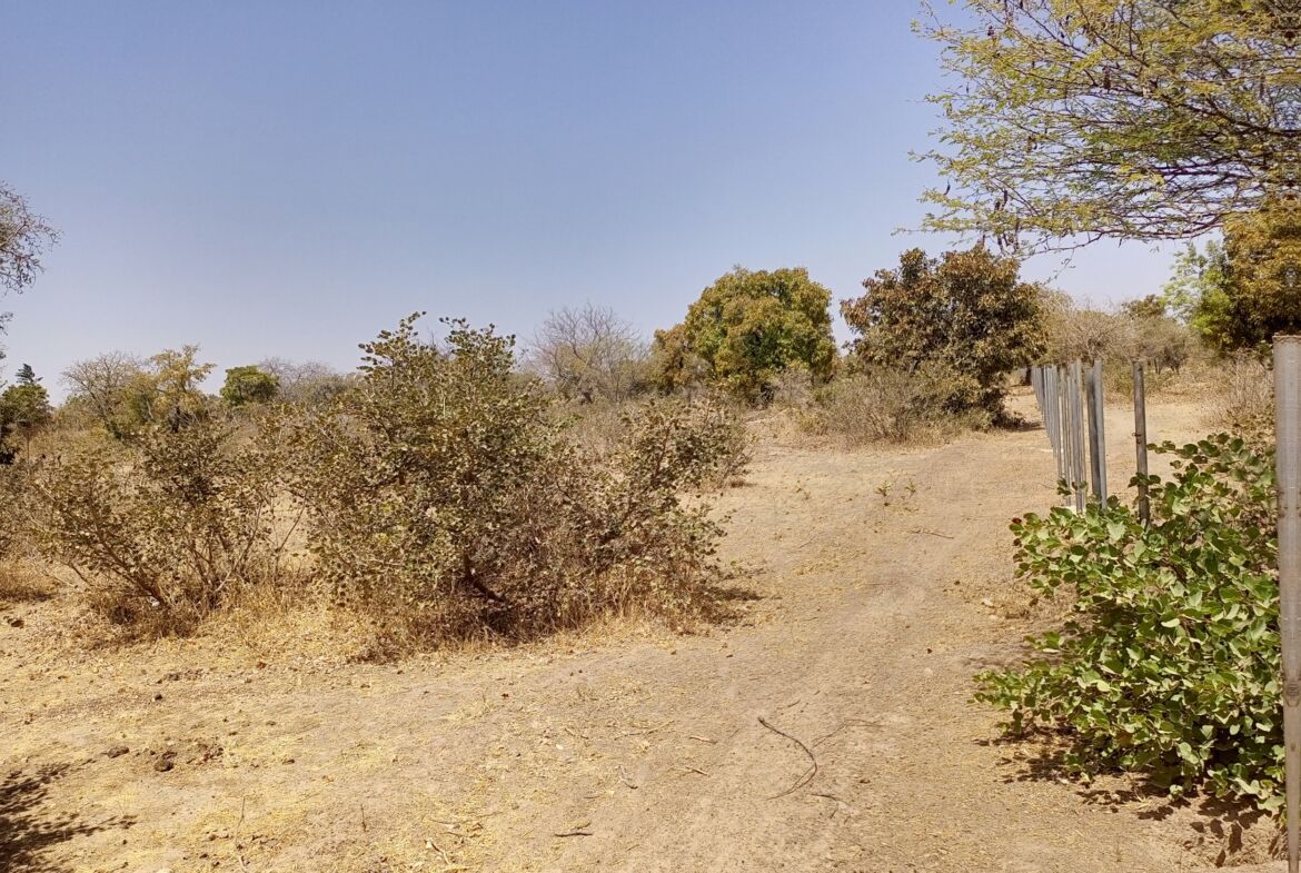 Un terrain de 19 546 M² en vente à Pabré